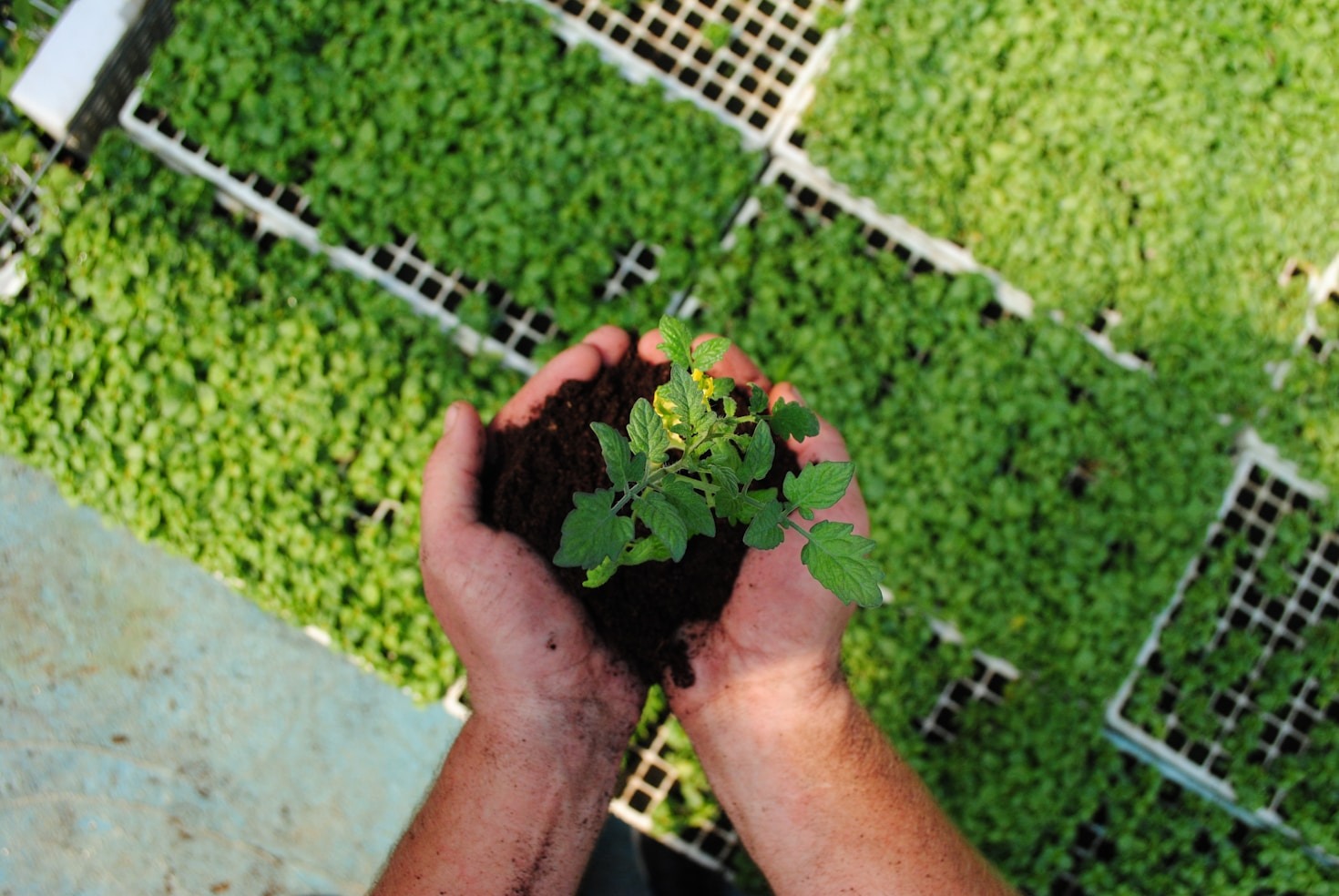 Fortalecendo laços comunitários no meio rural